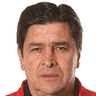 Fernando Tena Luis